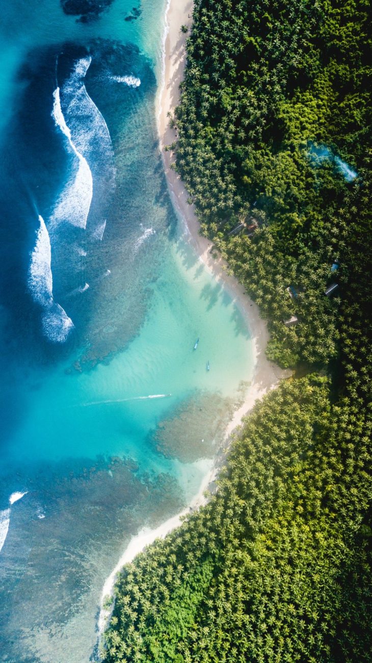 Body of water near trees at daytime